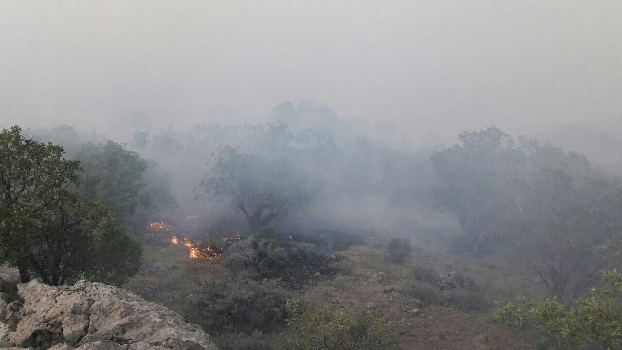 دارستانەکانی سەلاسی باوەجانی شەش ڕۆژە لە ئاگردا دەسووتێن