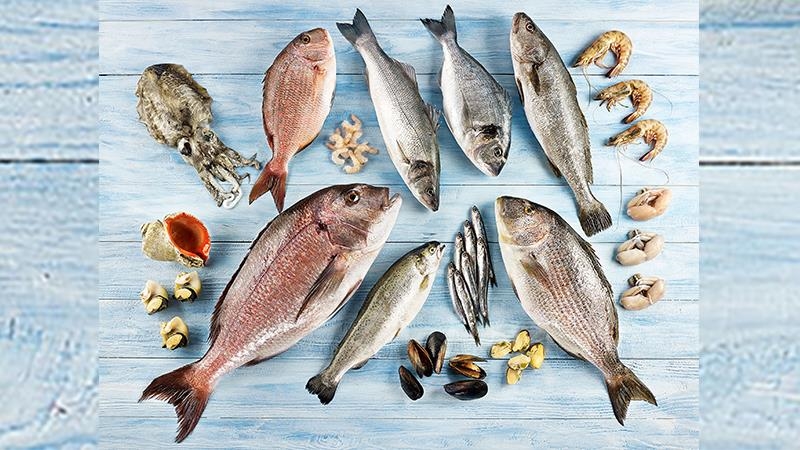 توركیا 125 هەزار تۆن خواردنی دەریایی هەناردە كردوە