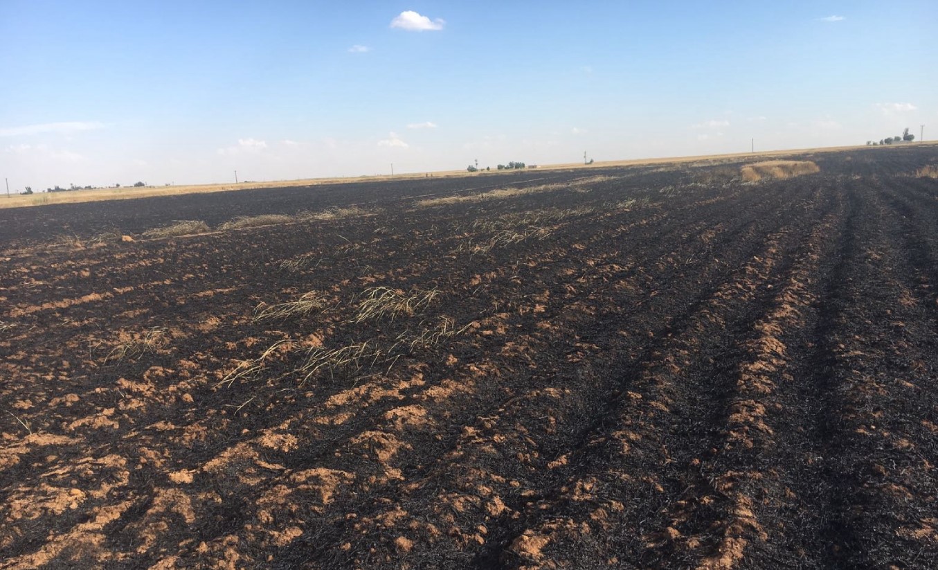 زیاتر لە ٧٠٠ دۆنم زەوی کشتووکاڵی سووتێندراون