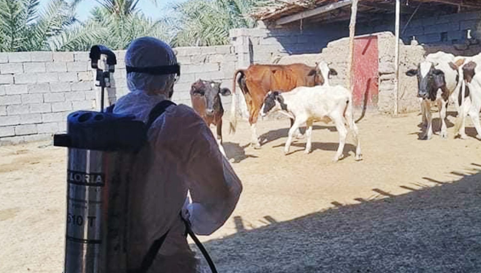 وەزیری تەندروستی: 11 حاڵەتی تای خوێنبەربوون لە هەرێم تۆمارکراوە لەلایەن