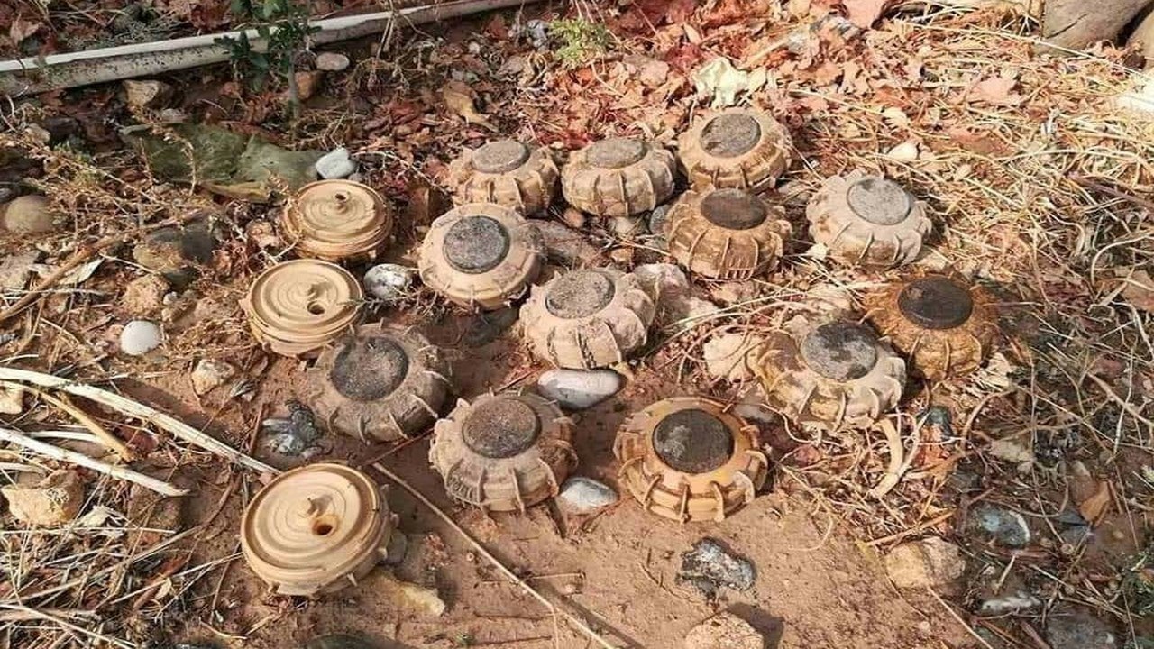 شوانێک لە سنوورەکانی ڕۆژهەڵات بە هۆی تەقینەوەی مین بریندار بوو