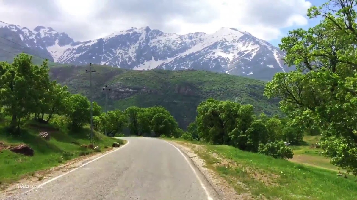 رێكخراوێكی ژینگەیی داوای پاراستنی پاوان و دارستانە سروشتییەكان دەكات