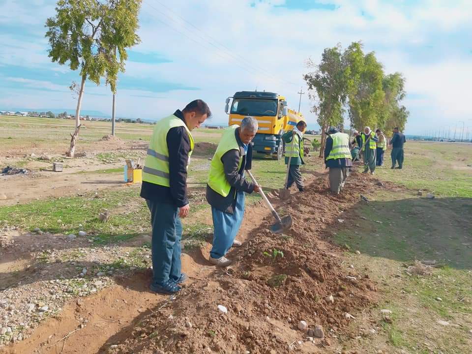 بە پێی بڕیارێکی گرینگ ٦٠ هەزار نەمام دەچێندرێن