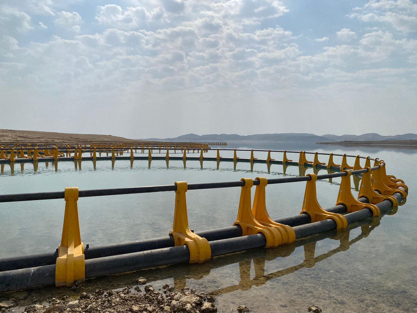 گەورەترین پڕۆژەی بەرهەمهێنانی ماسی لە هەرێمی کوردستان "دهۆک " درووست دەکرێت