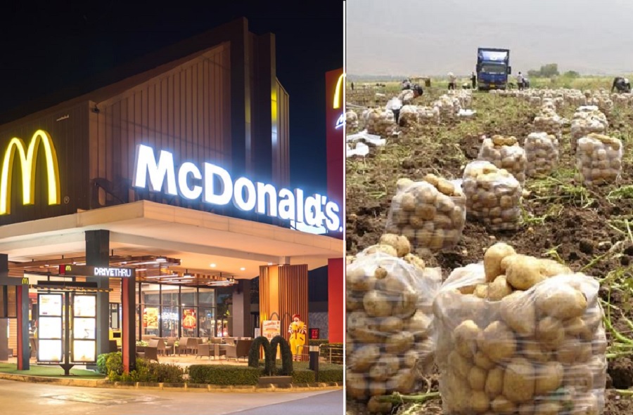 ماكدۆناڵدز داوای پەتاتەی هەرێمی كوردستان دەكات