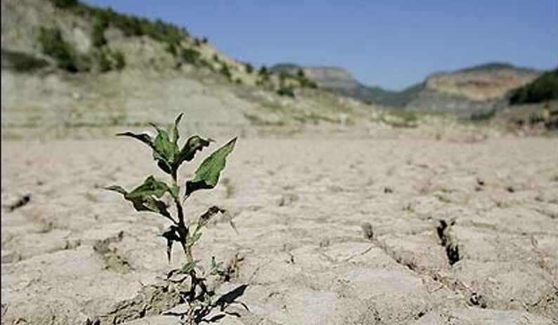 ووشکەساڵی ئەمساڵ دەبێتە هۆی ئامادەکاری و پیلاندانان بۆ بەرەوڕووبوونەوە لەگەڵ ئەم کێشە گەورەیە