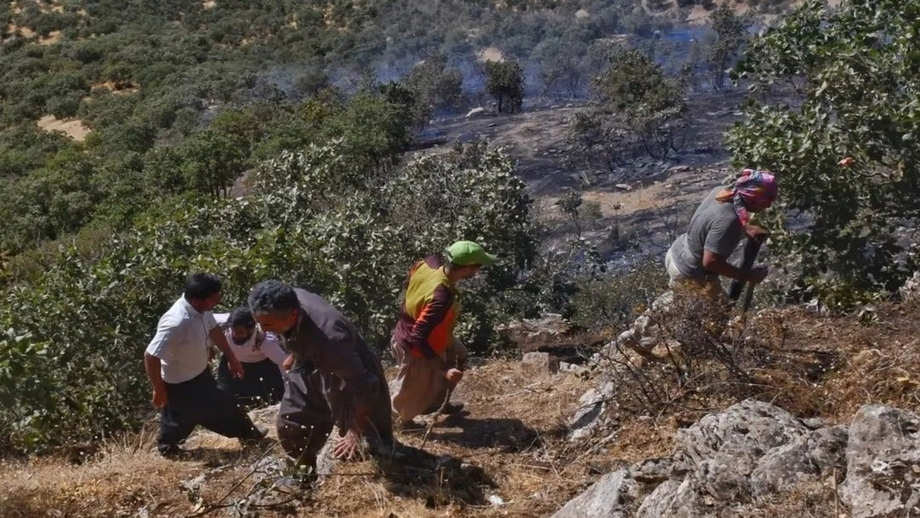 ناوەندی فەرهەنگی هونەریی ڤەژین سەبارت بە لەنێوبردنی ژینگە لە کوردستان ڕاگەیەندراوێکی بڵاو کردەوە