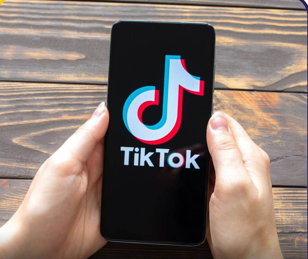 فەڕەنسا بەکارهێنانی تیک تۆکی لە حکوومەت قەدەغە کرد