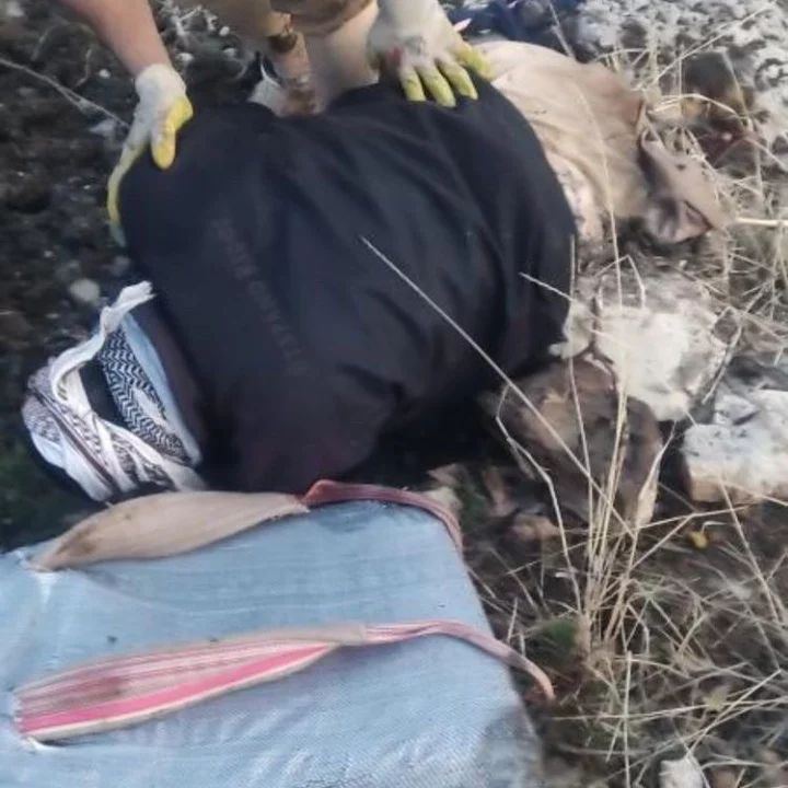 لە سنووری بانە سێ کۆڵبەر بە هۆی تەقینەوەی مین بریندار بوون