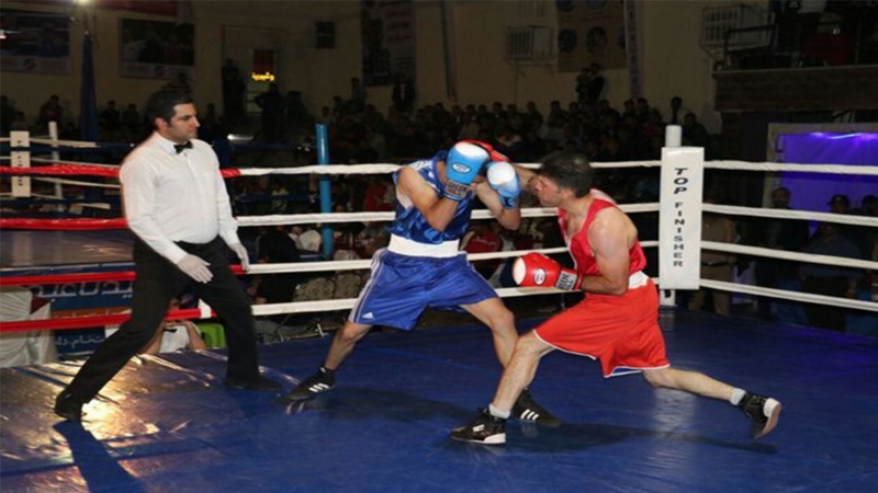 پارێزگای کوردستان بە بردنەوەی ٧ مەدالیای زێڕ لە کێبڕکێ بۆکسی ڕۆژئاوای ئێران بوو بە یەکەم