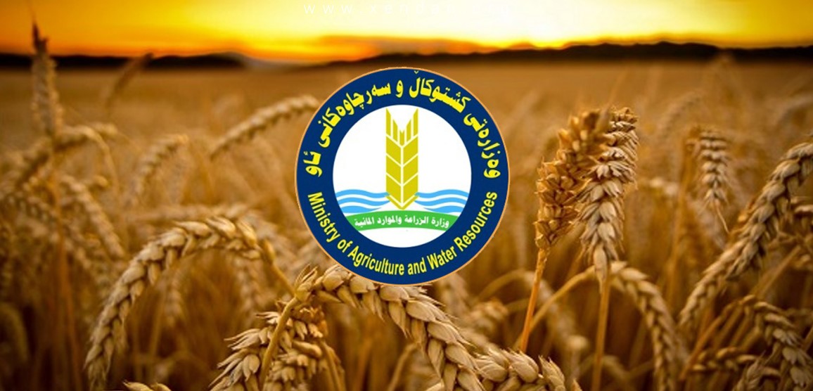 وەزارەتی کشتووکاڵ و سەرچاوکانی ئاوی حکوومەتی هەرێمی کوردستان بڕیاریکی گرینگ لە بەرژەوەندی جووتیاران دەردەکات