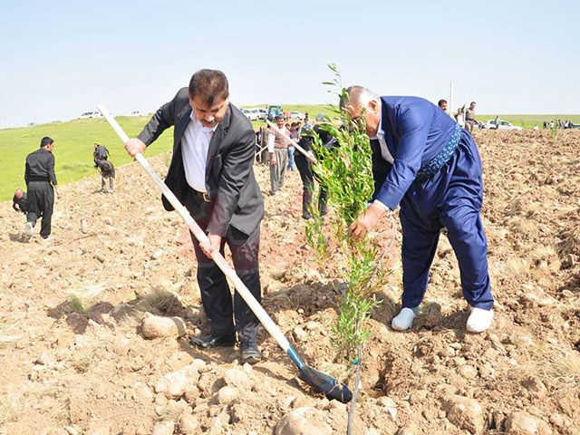 بە پێی بڕیاری ئیدارەی هەوڵێر ٢٠٠ هەزار نەمام لە سنووری پاریزگای هەولێر دەچێندرێت