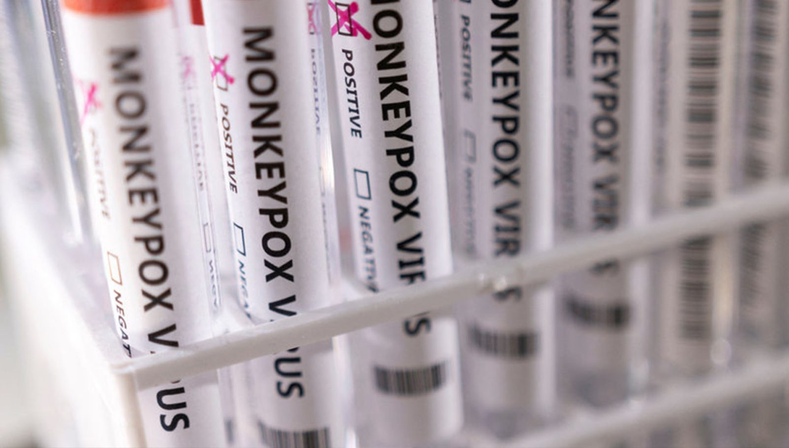 تەندروستیی جیهانی لەبارەی ئاوڵەی مەیمونەوە بڕیاریدا