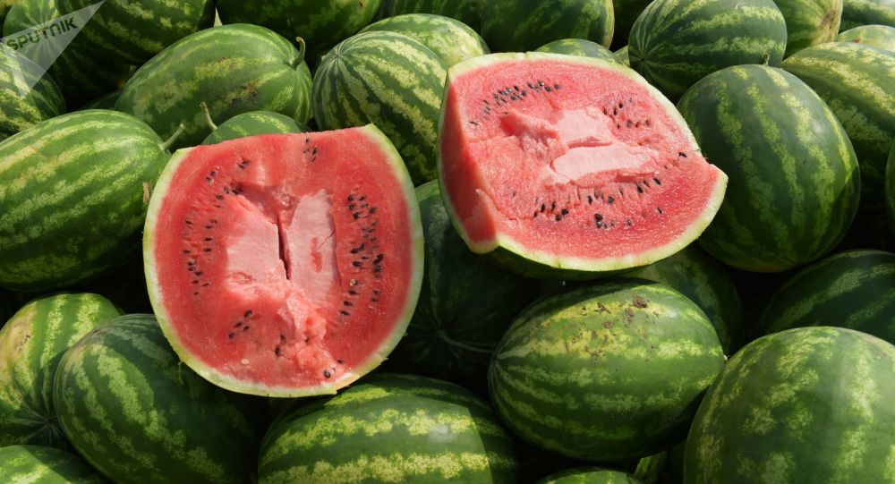 شوتی دژی چەندین نەخۆشیە