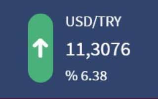 بەهای لیرەی تورکی زیاتر ڕووی لە داشکانە بەرامبەر بە دۆلار ، داڕووخانی تورکیا بەرەو مسۆگەر بوون دەچێت