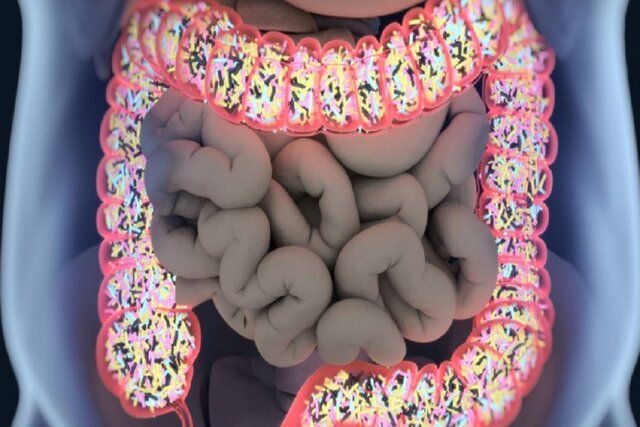 ئامۆژگاری بۆ خۆپاراستن لە شێرپەنجەی قۆڵۆن