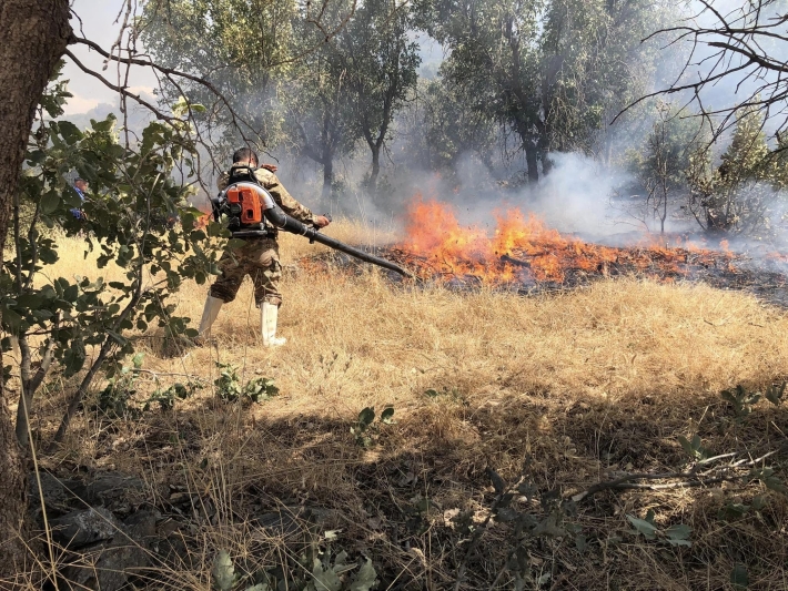 لە ناڵپارێزو شارباژێڕ ئاگر كەوتەوەو زیاتر سێ هەزار دۆنم دارستان و پوش سوتا