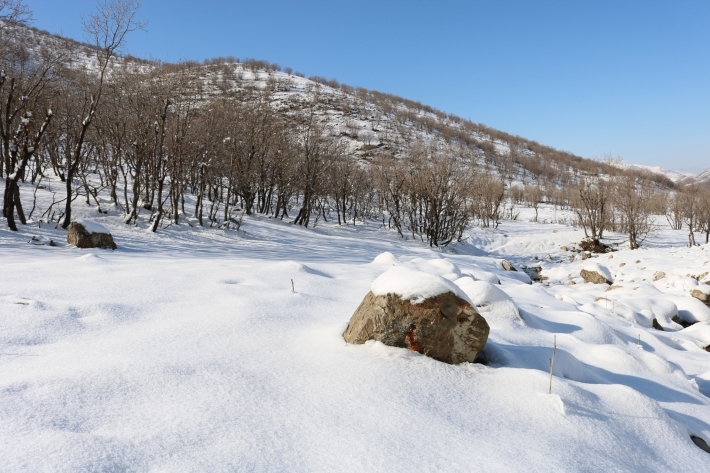 شەپۆلێكی یەك هەفتەیی بەفرو باران هەرێمی كوردستان دەگرێتەوە