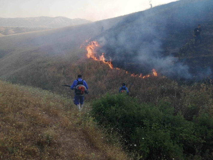 لە سیتەک ٧٠ دۆنم زەوی سوتا و كەسێكیش بە تۆمەتی كردنەوەی ئاگر دەستگیركرا