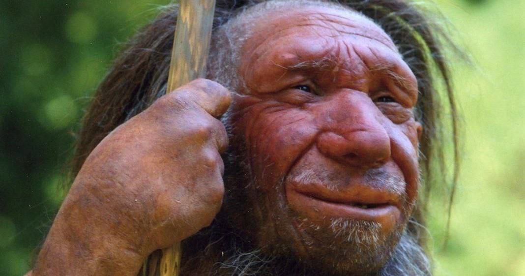 توێژینەوەیەک : دی ئێن ئەی نێئاندەرتاڵەکان ئاشکرای دەکات کە بۆچی هەندێک کەس زووتر لە خەو هەڵدەستن