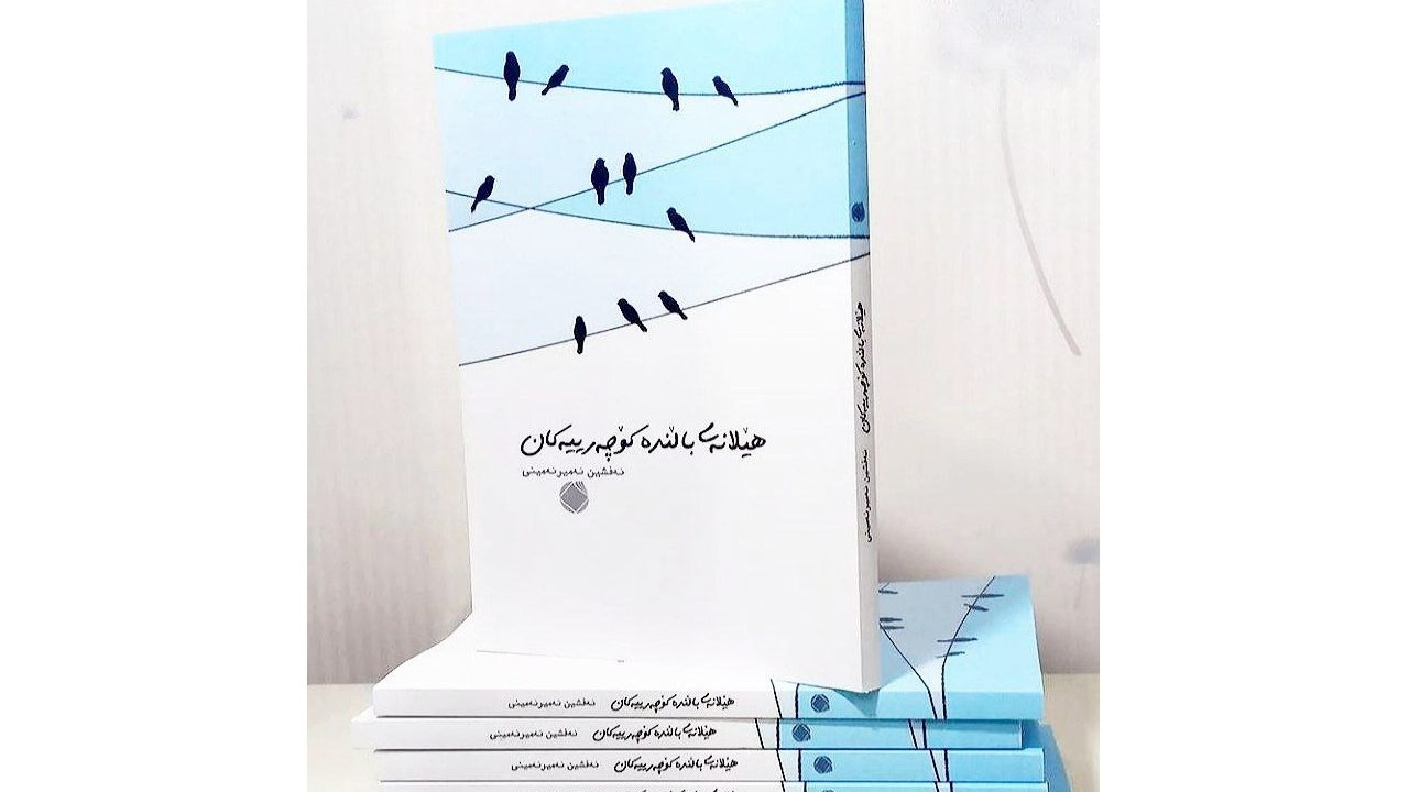 ڕۆمانی "هێلانەی باڵندە کۆچەرییەکان" چاپ و بڵاو کرایەوە