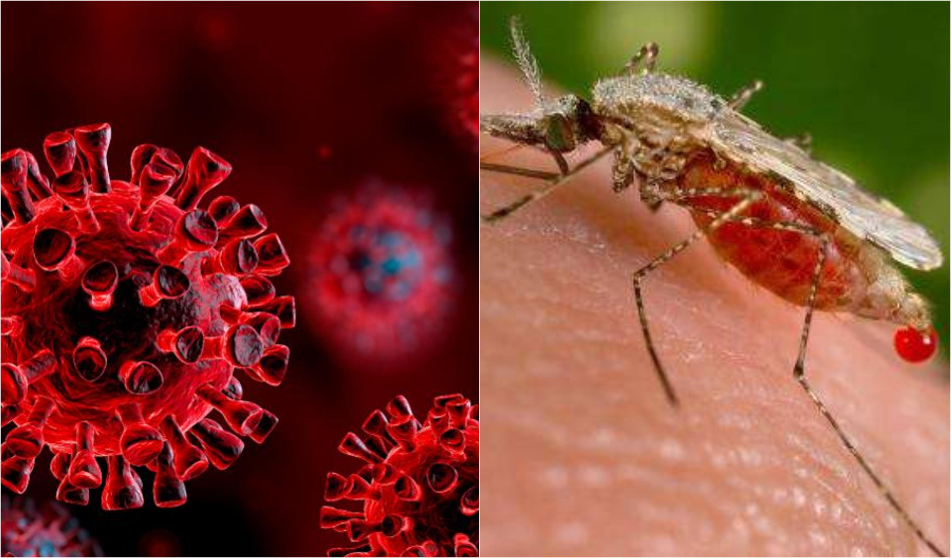 تەندروستیی جیهانی گڵۆپی سەوز بۆ ڤاکسینێک دادەگیرێنێت کە سەدان هەزار منداڵ رزگاردەکات