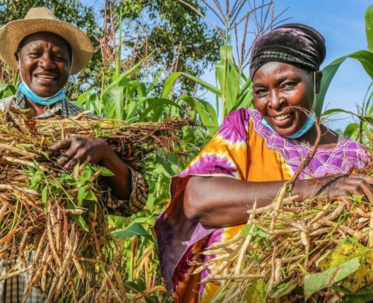 هۆشدارییەکی گرینگ لە لایەن ڕێکخراوی تەندرووستی جیهانی یەوە