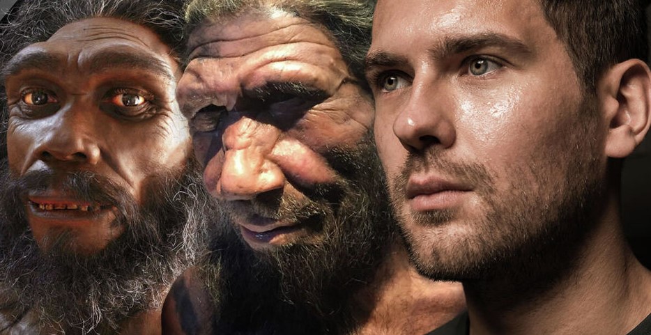 بە ئەگەرێک مرۆڤەکانی نێئاندێرتاڵ هاوشێوەی مرۆڤەکانی ئەمڕۆژی قسەیان کردووە