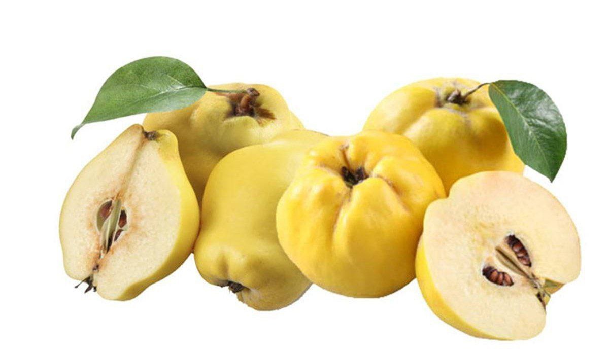 ئەو کەسانەی ترس و ترسیان هەیە، بەی بخۆن!