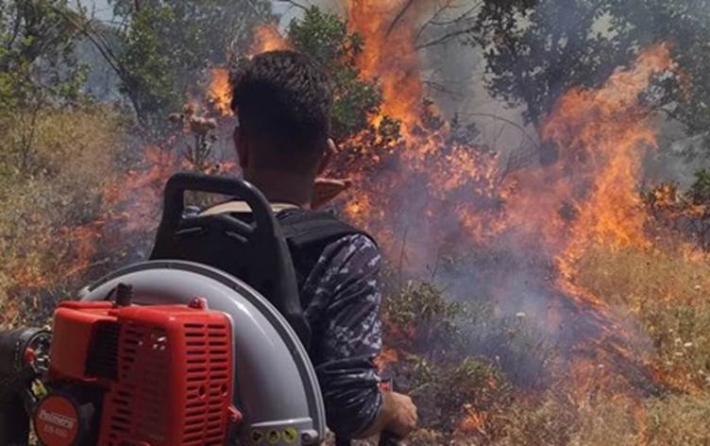 لە سنووری سلێمانی بەهۆی ئاگر کەوتنەوە 250 دۆنم پووش و پاوان و دارستان سووتا