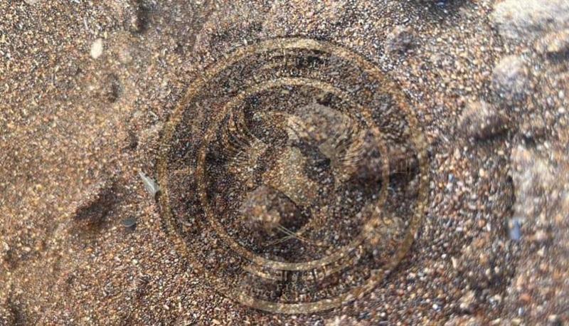 لە بەغدا بڕێکی زۆر تی ئێن تی دەستی بەسەردا گیرا